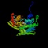 View Structure